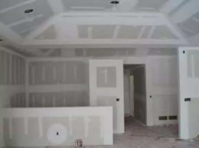 Austin Popcorn Removal