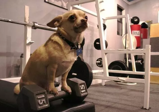 Blue Sky Strongbox Personal Training