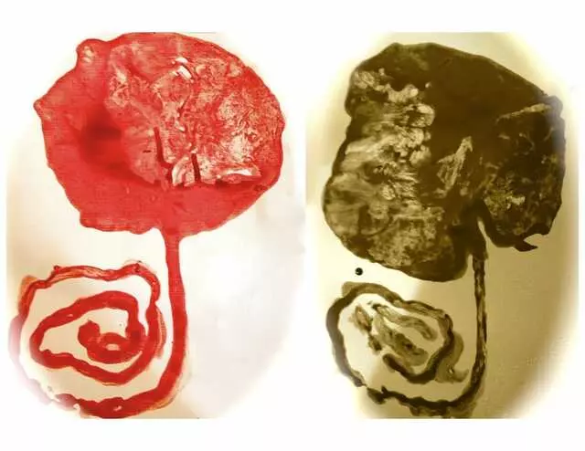 A Mother’s Pride Placenta Services