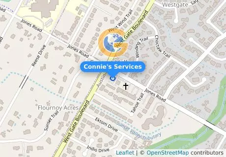 Connie's Services