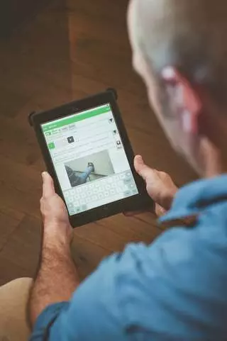 Another Perspective Property Inspections