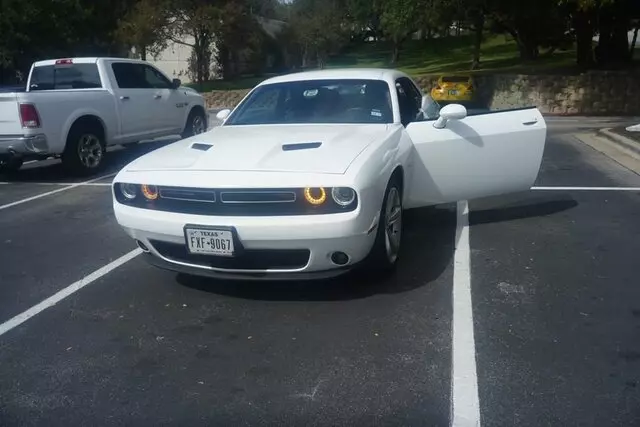 Avis Car Rental