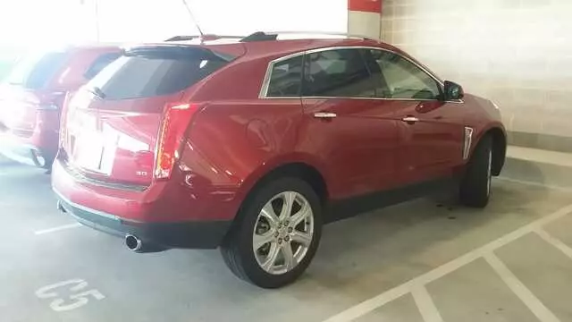 Avis Car Rental