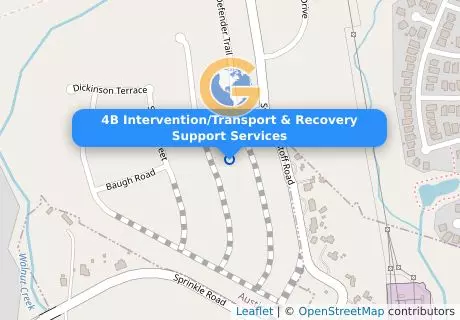 4B Intervention/Transport & Recovery Support Services