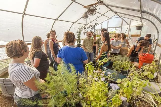 Austin Permaculture Guild
