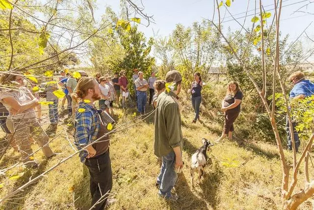 Austin Permaculture Guild