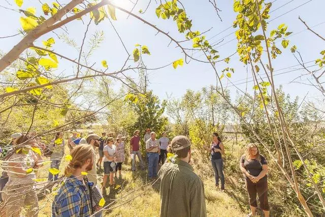 Austin Permaculture Guild
