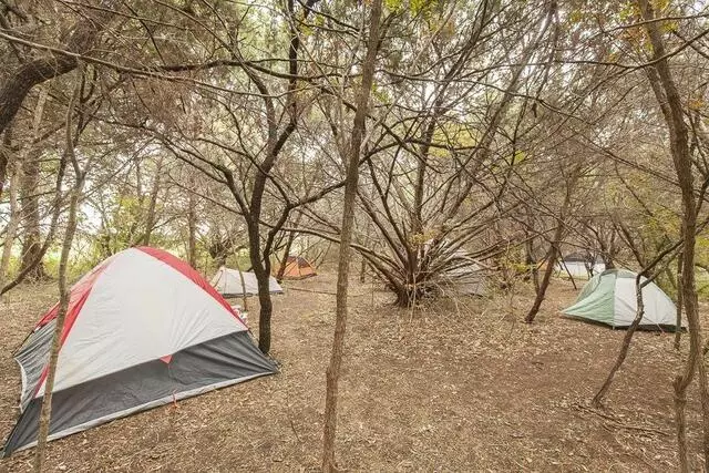 Austin Permaculture Guild