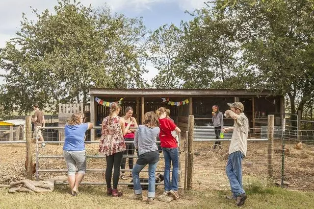 Austin Permaculture Guild