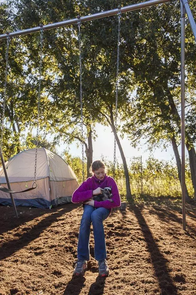 Austin Permaculture Guild