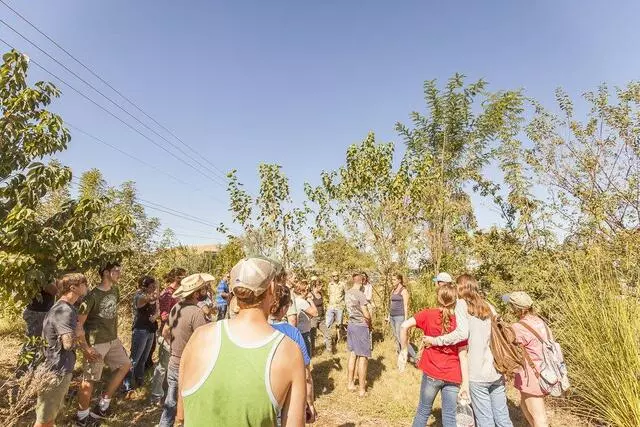 Austin Permaculture Guild