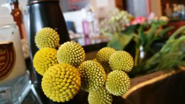 Austin Flower