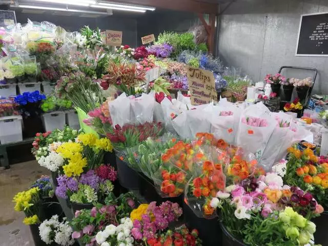 Austin Flower