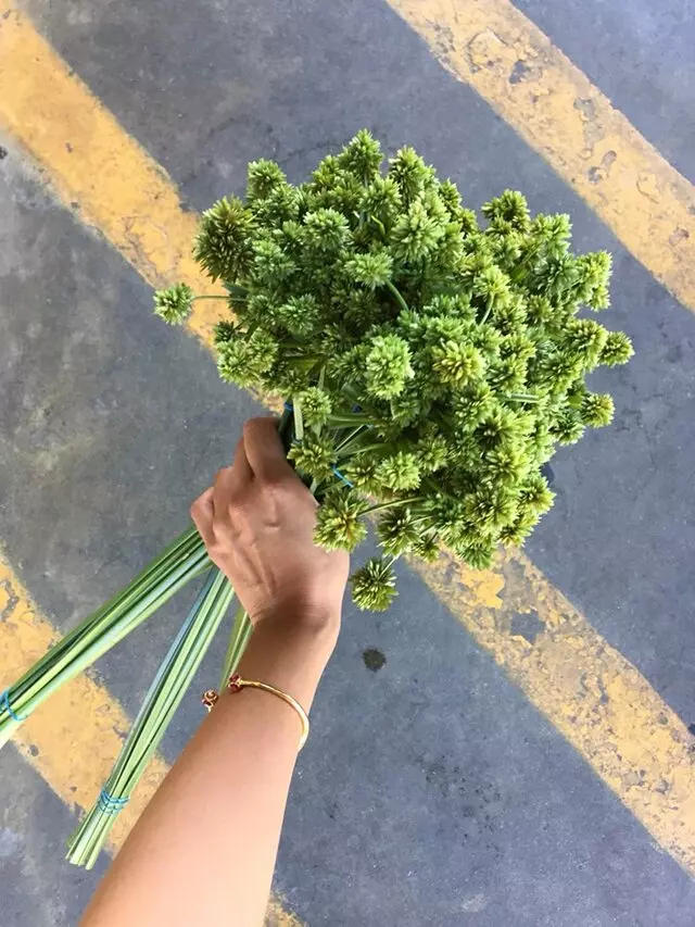 Austin Flower