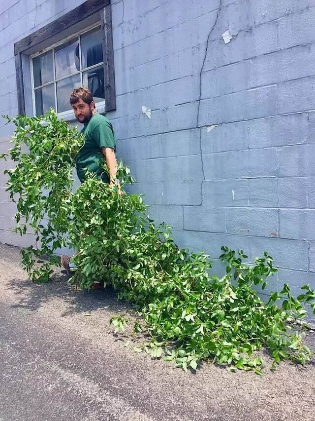 Austin Flower