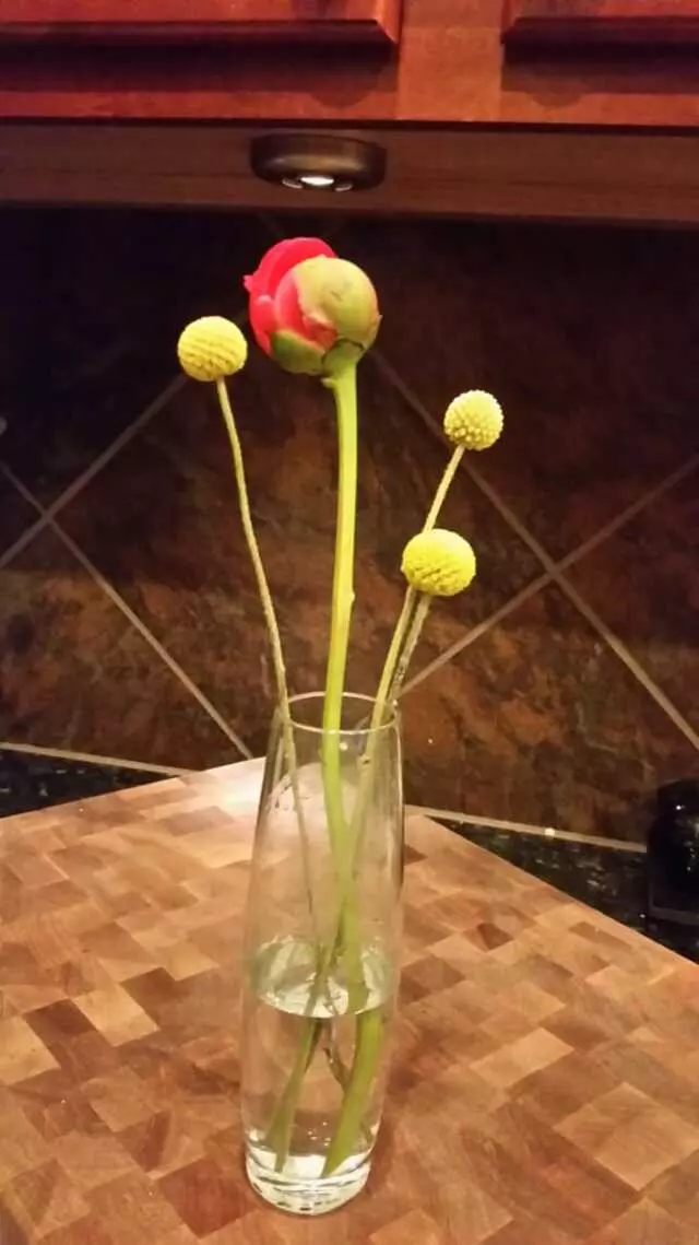 Austin Flower