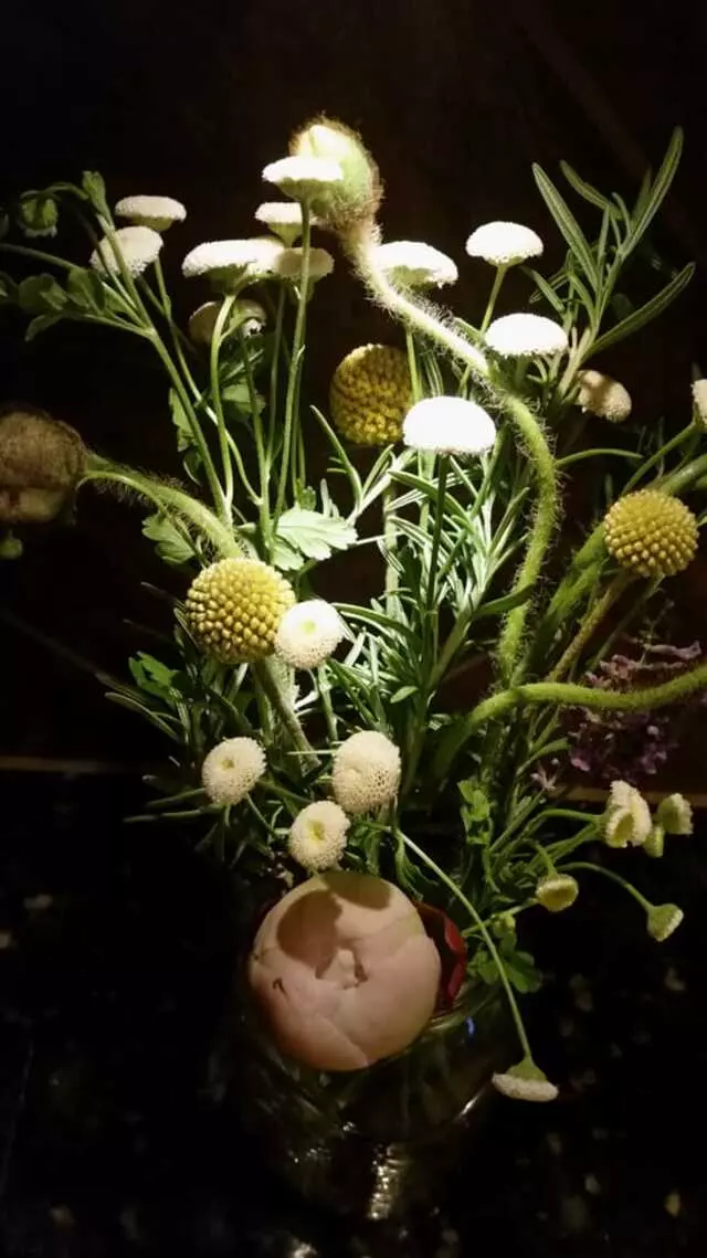 Austin Flower