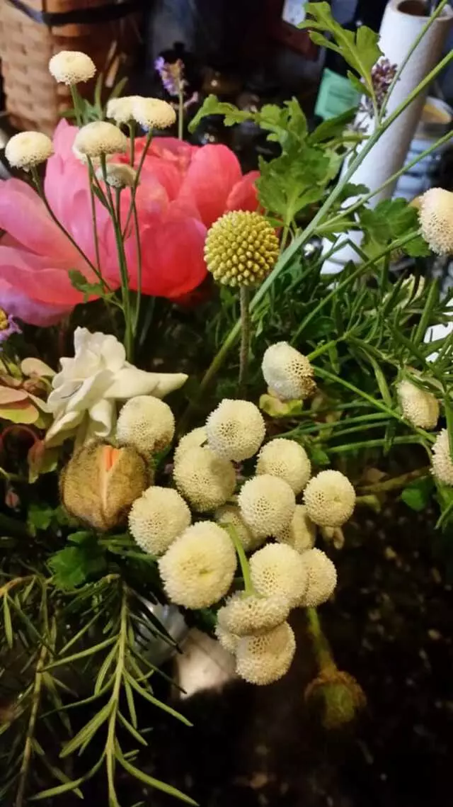 Austin Flower