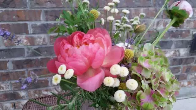 Austin Flower
