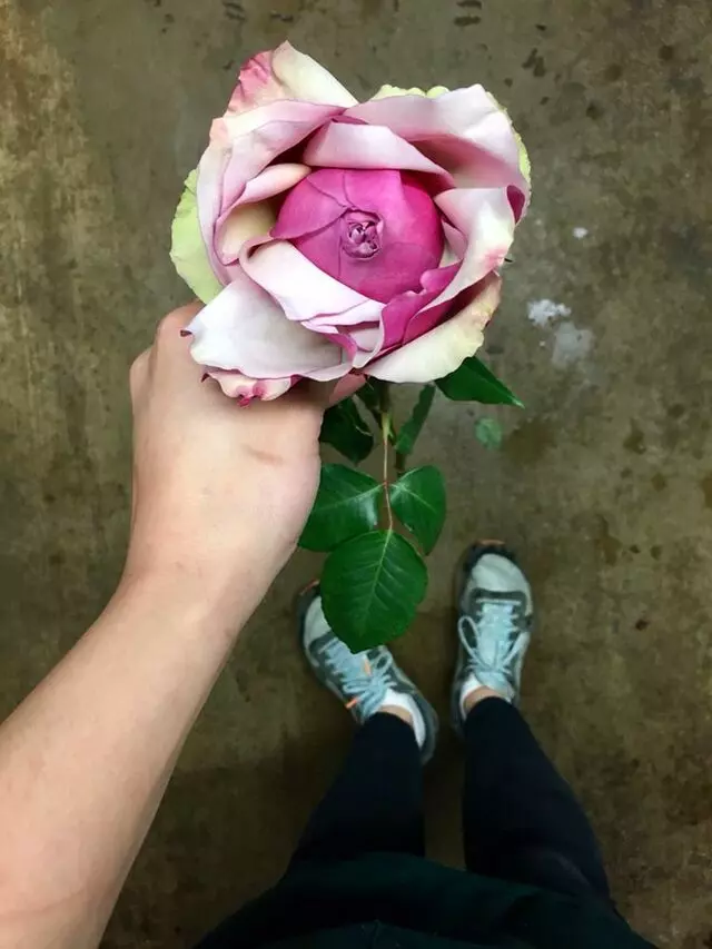 Austin Flower