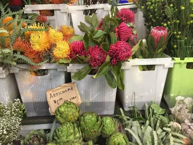 Austin Flower