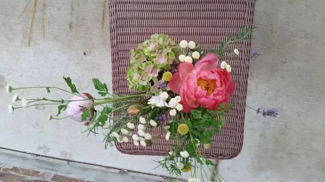 Austin Flower