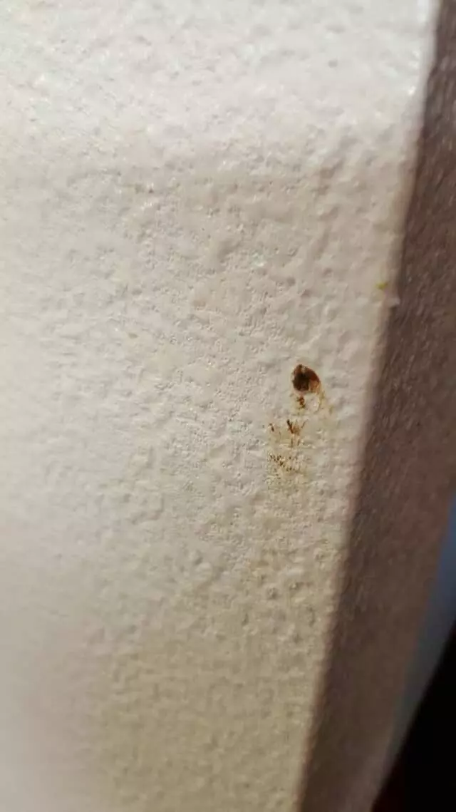 Americas Best Value Inn