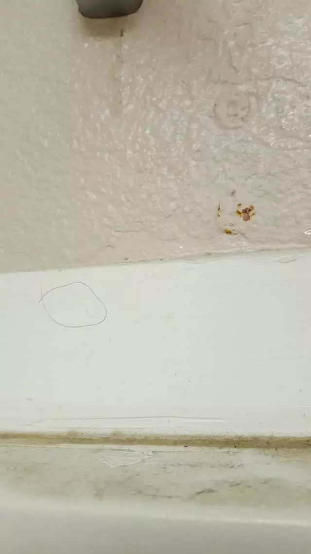 Americas Best Value Inn