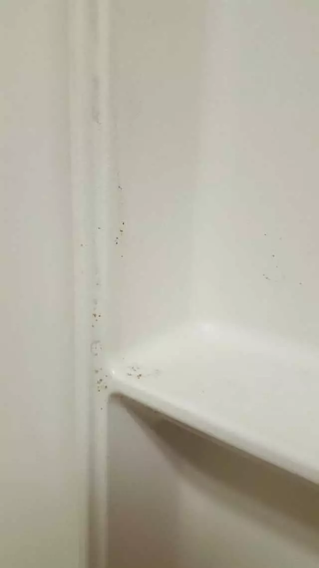 Americas Best Value Inn