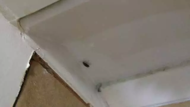 Americas Best Value Inn