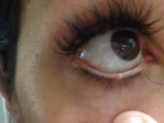 Amazing Lash Studio - Lakeline Market