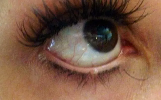 Amazing Lash Studio - Lakeline Market