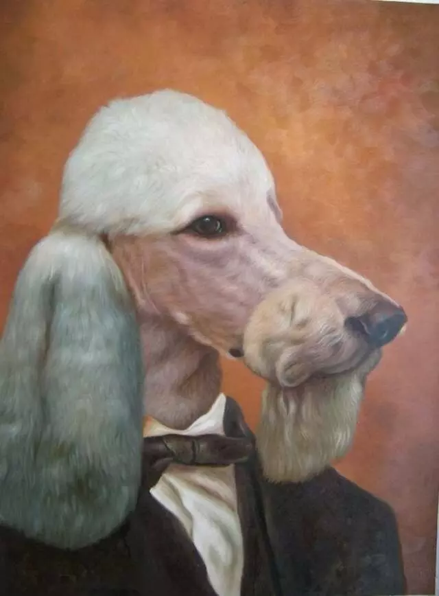 A Pink Poodle