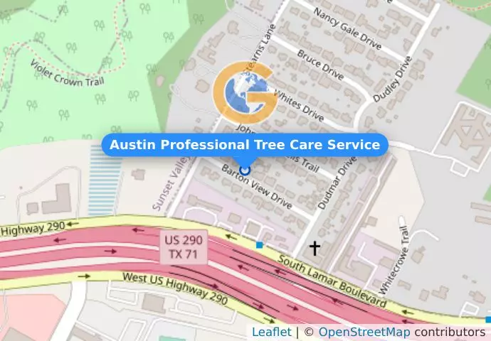 Austin Professional Tree Care Service