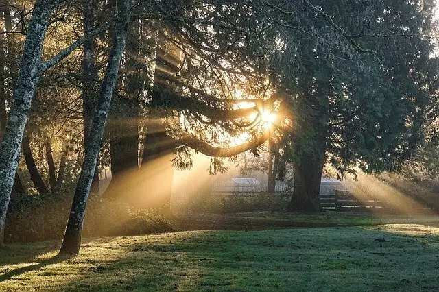 Excelerated Living