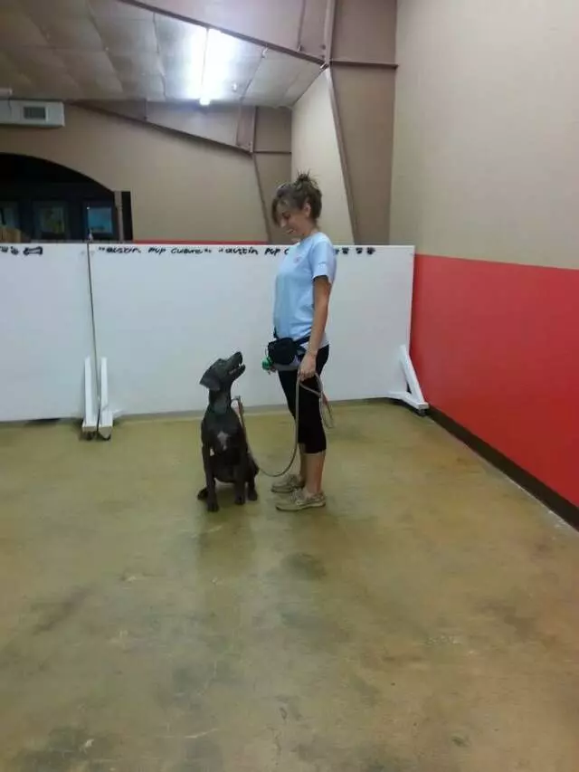 Austin Dog Zone