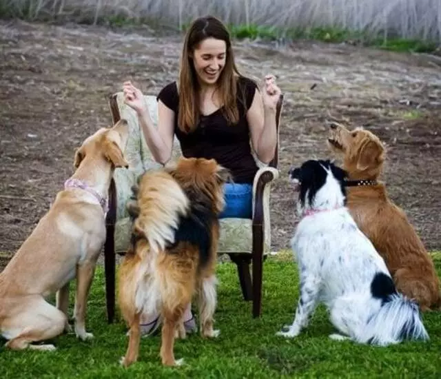 Austin Dog Zone