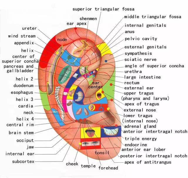 ATX Acupuncture & Massage