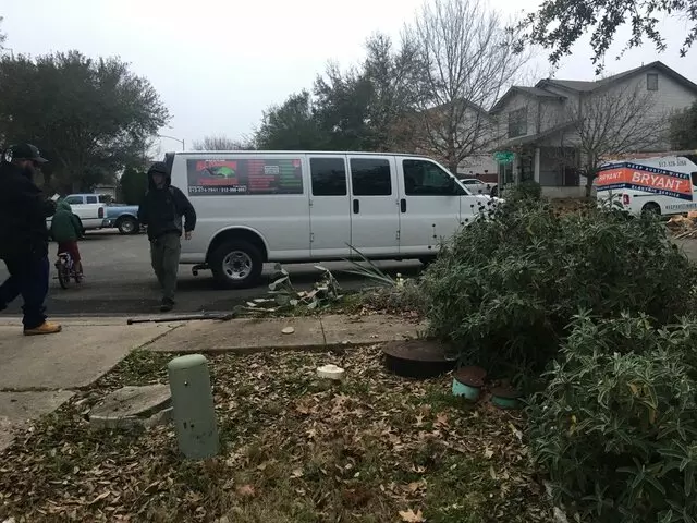 Austin All Seasons Tree Service
