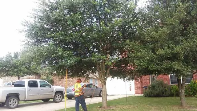 Austin All Seasons Tree Service