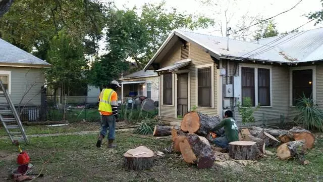 Austin All Seasons Tree Service