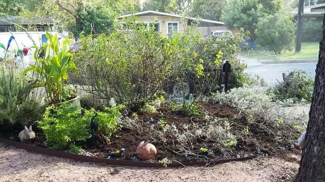 Austin All Seasons Tree Service