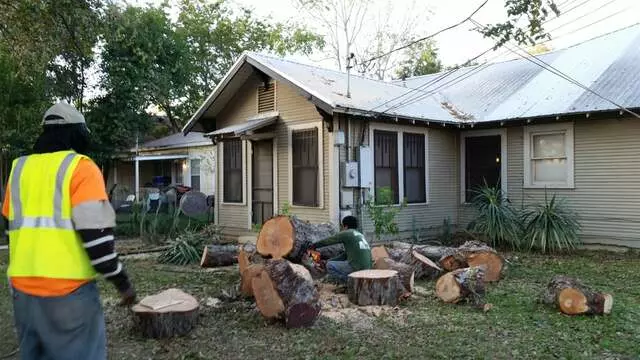 Austin All Seasons Tree Service