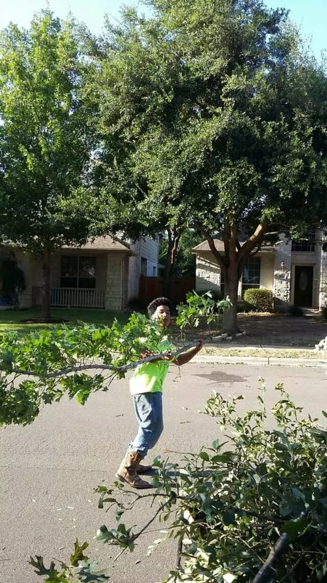 Austin All Seasons Tree Service