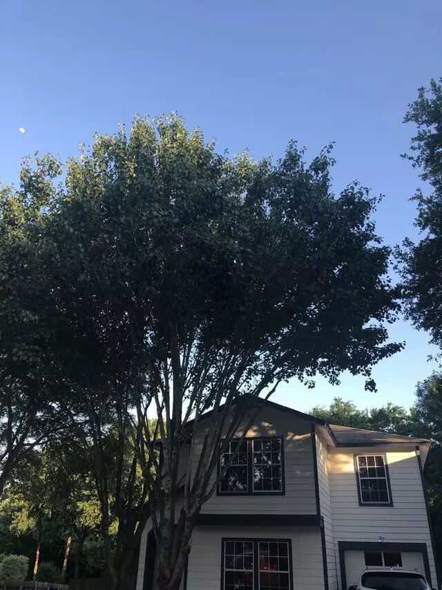 Austin All Seasons Tree Service
