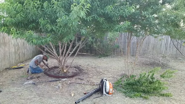 Austin All Seasons Tree Service