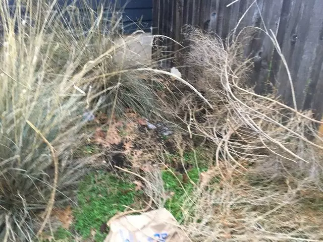 Austin All Seasons Tree Service
