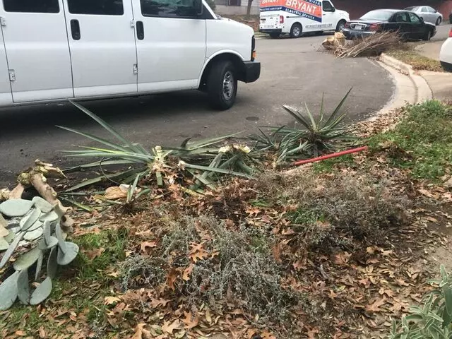 Austin All Seasons Tree Service