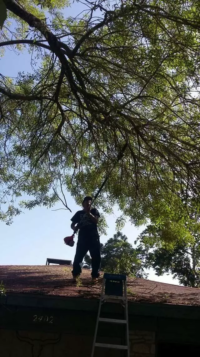 Austin All Seasons Tree Service