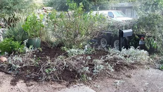 Austin All Seasons Tree Service
